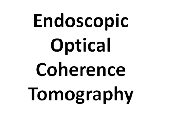 Endoscopic OCT