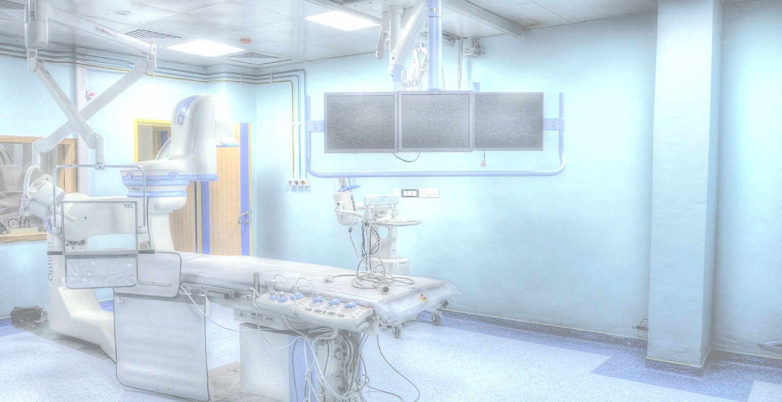 PICCOLO Dissemination Risk Assessment